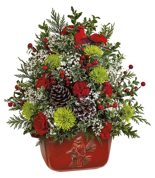 Cardinal Heirloom Tree